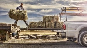 bedslide on farm