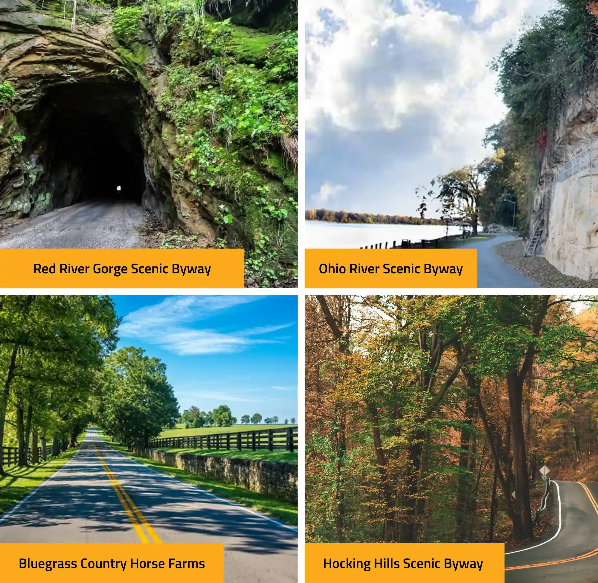 scenic drives thumb