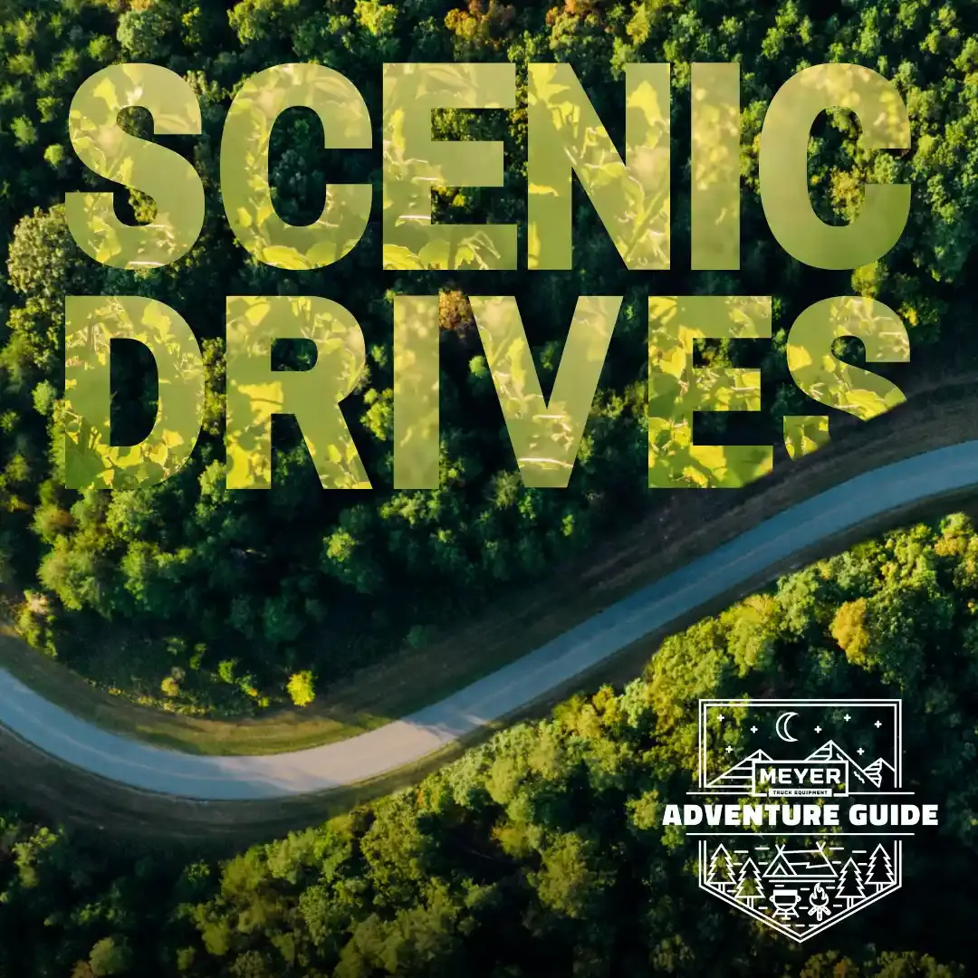 Scenic Drives
